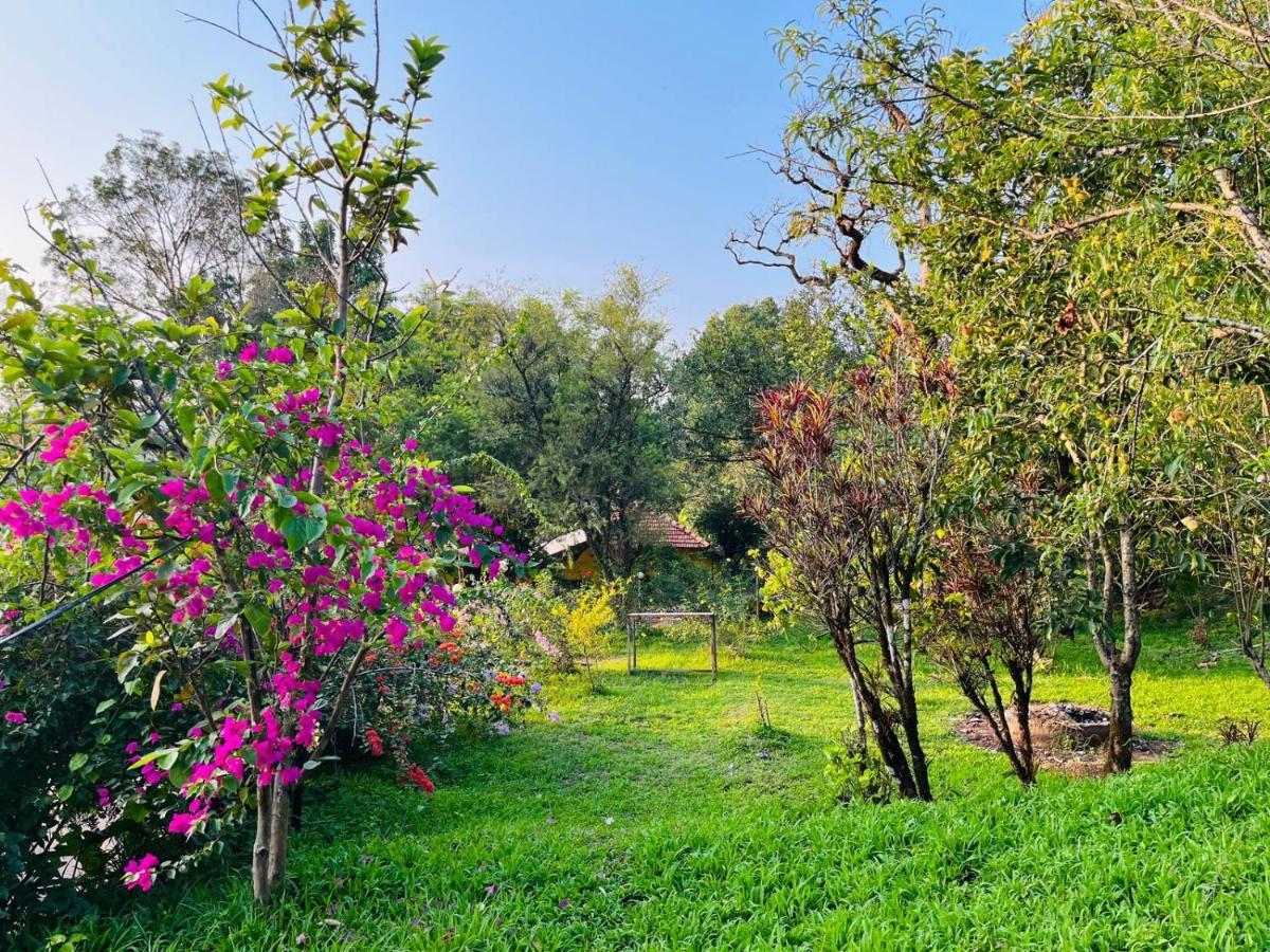 Coorg Daffodil Guesthouse มาดิเครี ภายนอก รูปภาพ